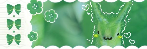 𐂯 .ᐟ⸝ Vega ₊ ˚✧ banner