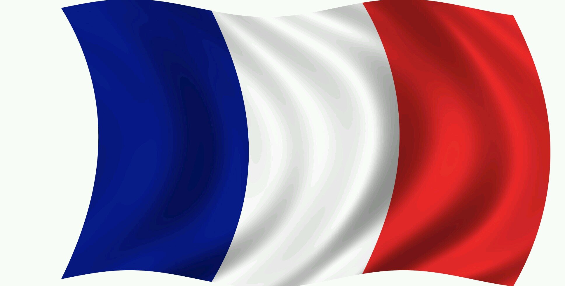 LionEngage's profile banner image