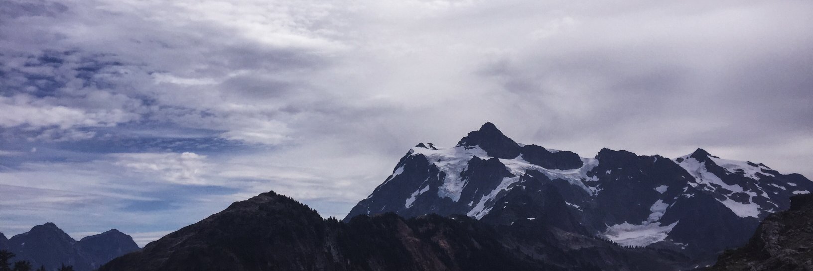 Adrienne Kinman banner