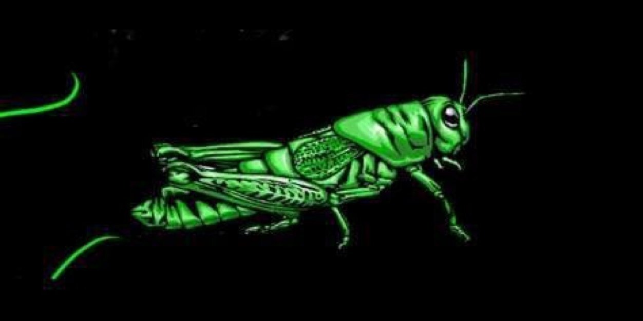 grasshoppersfst's profile banner image