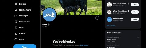 AsxQuack's profile banner image