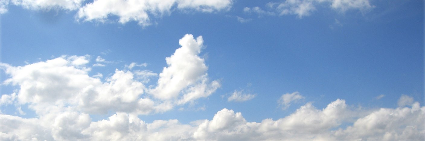 Nostradooda's profile banner image