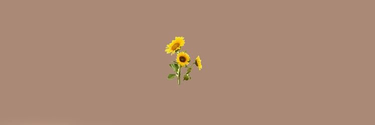 cherrrsss's profile banner image