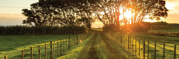 NZ Roundtable for Sustainable Beef banner