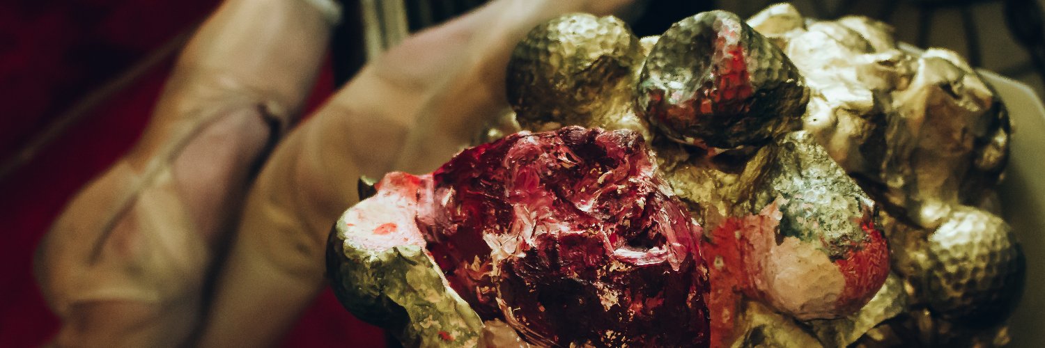 FEAST: a ballet banner