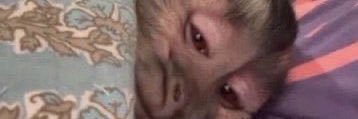 Maarr2020's profile banner image