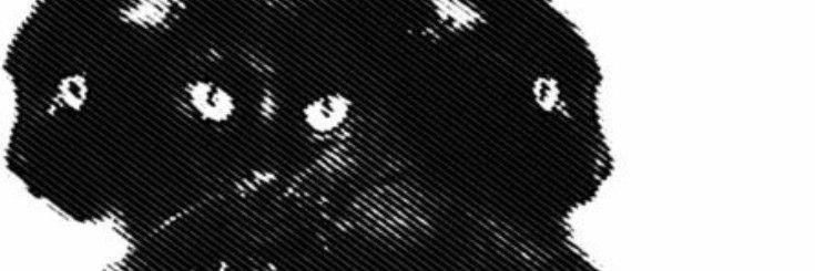 STAYeffect's profile banner image
