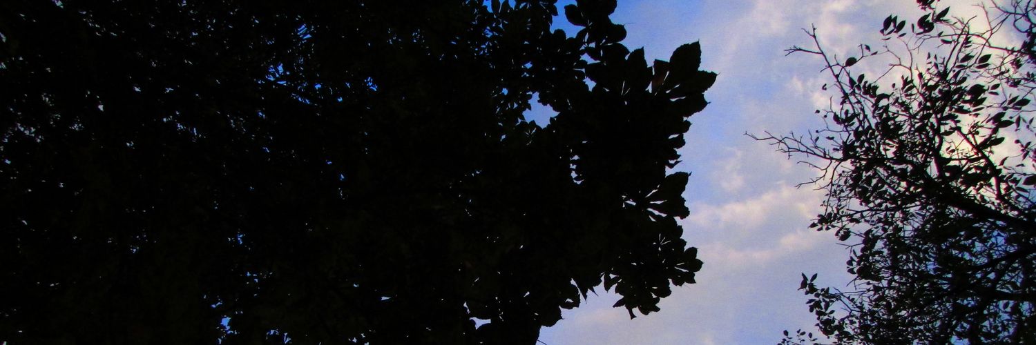 LauraLopez1318's profile banner image