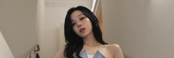 seulgishandss Profile Banner