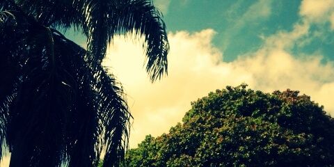 mechi0924's profile banner image
