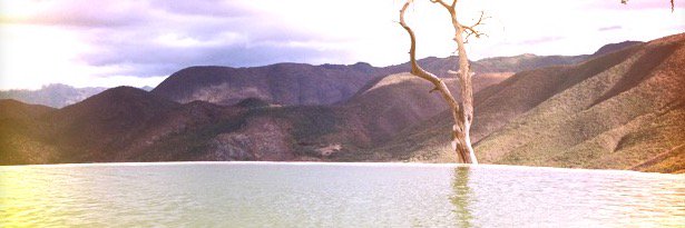 Annette Puig banner