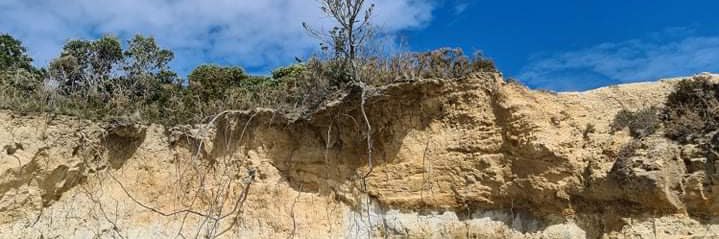 tangata hara ❤️‍🔥 banner