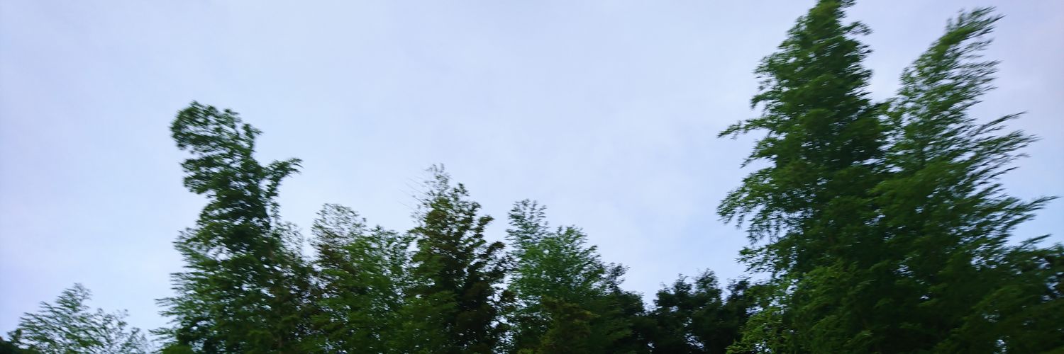 TRAVISinTRAVEL's profile banner image