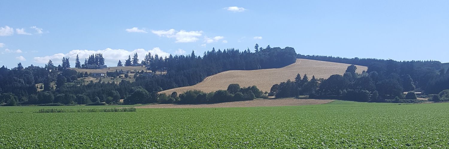 dkeudell's profile banner image