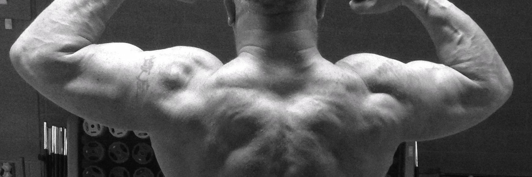 hpchadwick's profile banner image