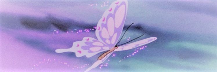 trinipolinelli's profile banner image