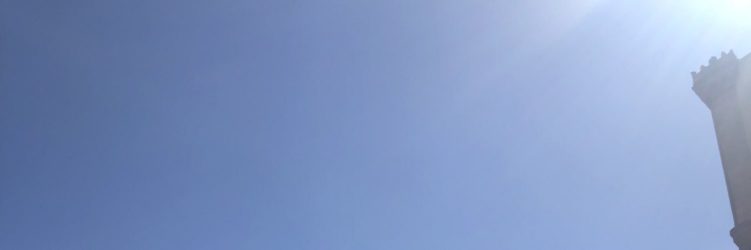 NFTSniperVet's profile banner image