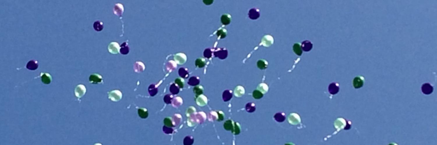 s_c_f_88's profile banner image