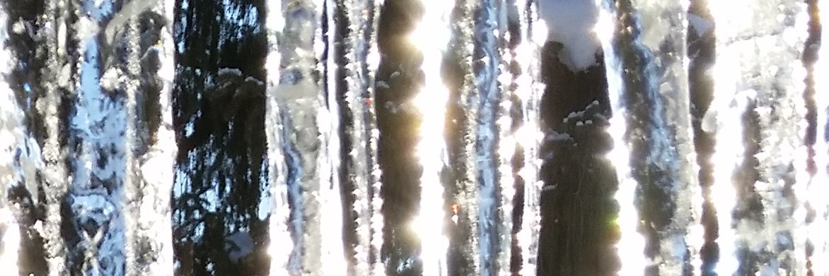 artrosebud's profile banner image