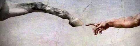 Mohnflesserl 🔪 banner