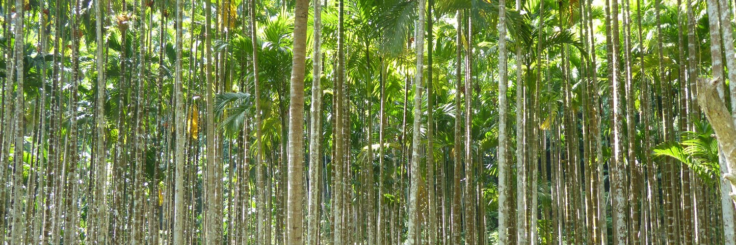 Josef Trappel banner