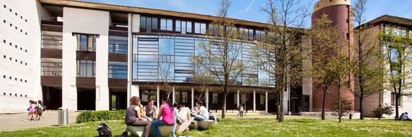 ingurupsiko Profile Banner