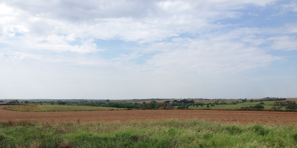 toby brown, phd banner