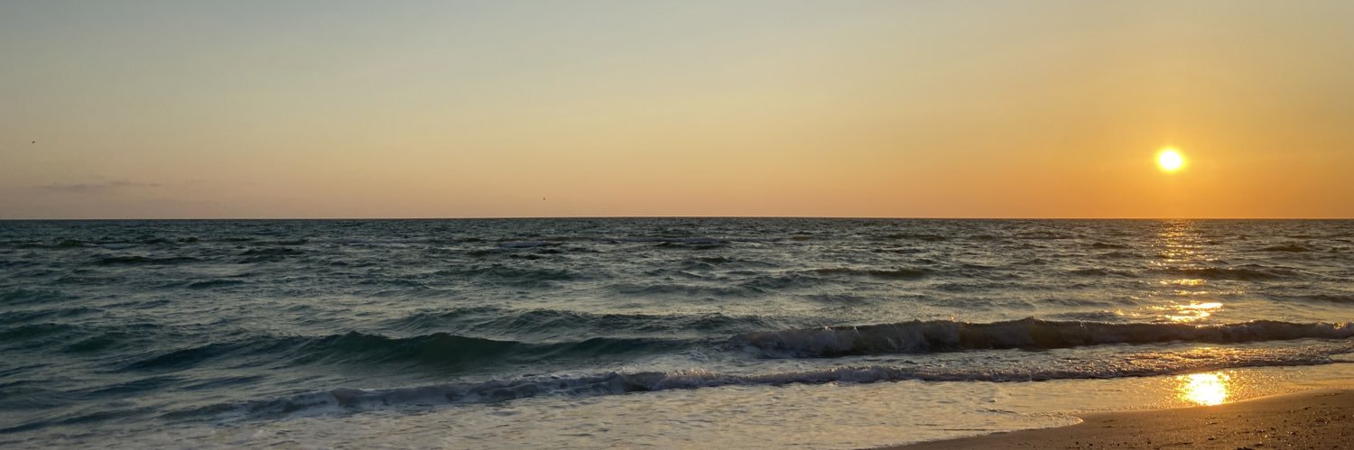 daceynelson's profile banner image