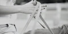 horsesfreaks's profile banner image