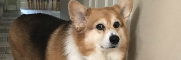 mattkermitz's profile banner image
