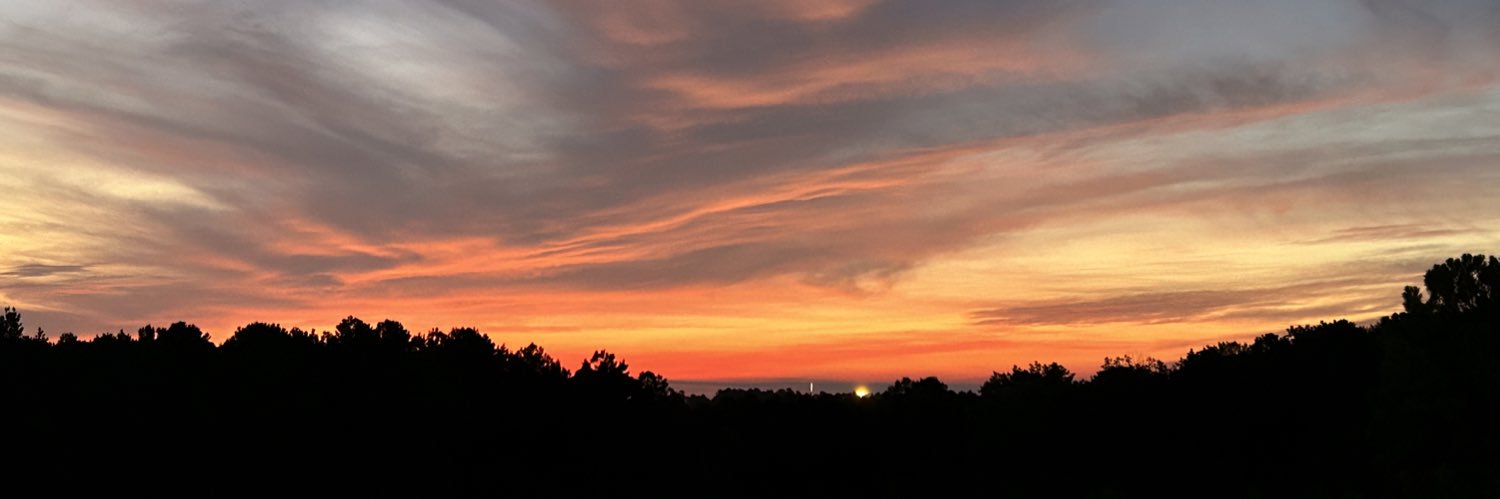 m_lanee_holmes's profile banner image
