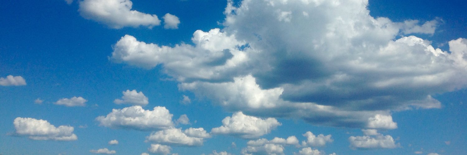 _joanacoelho_'s profile banner image