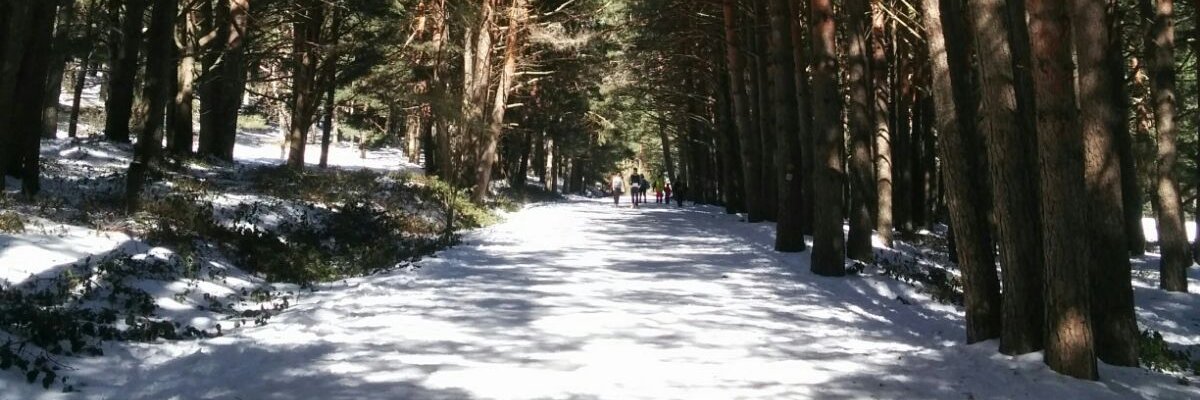 andreacastanho's profile banner image