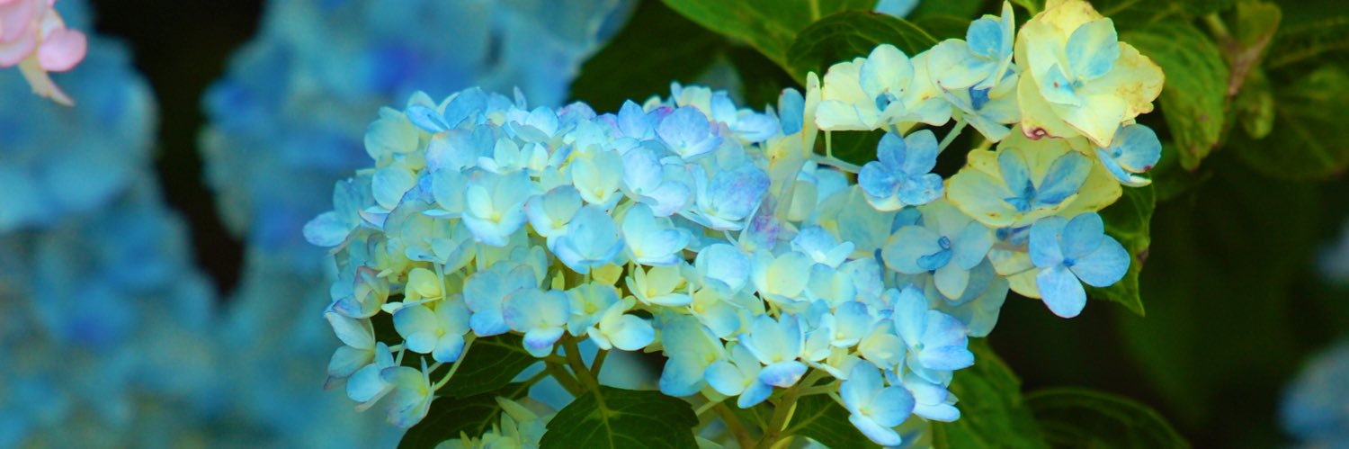 Kim Reiss Binder (Kim Reiss) banner