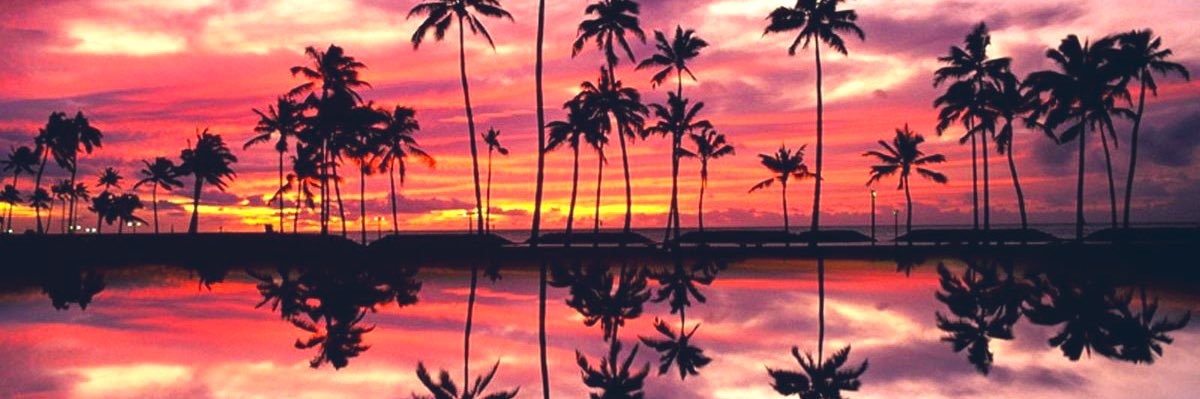 🧚🏼‍♂️Aisha.Layla🧚🏽‍♀️ banner