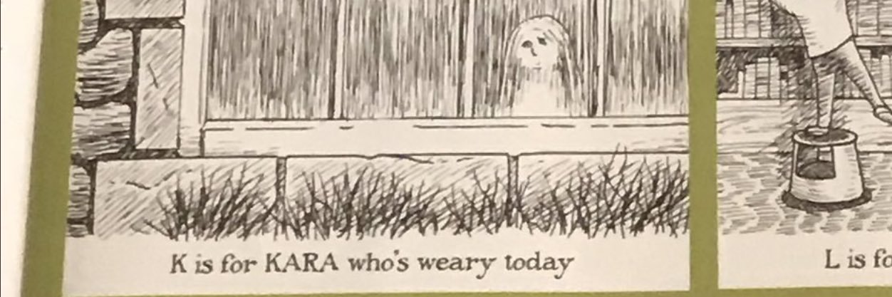 karafreeman's profile banner image