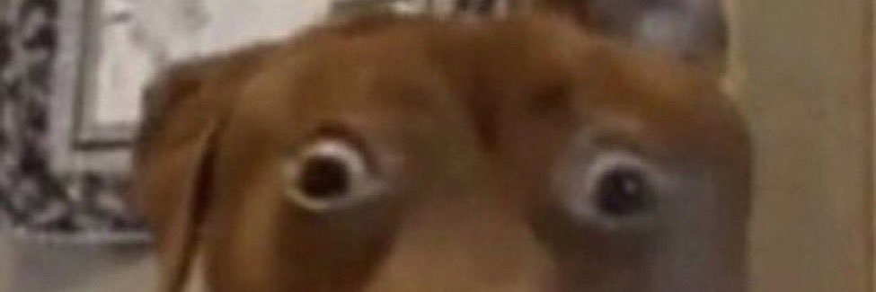 itouchdogz's profile banner image