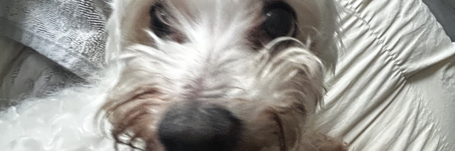 Meme_Y47's profile banner image