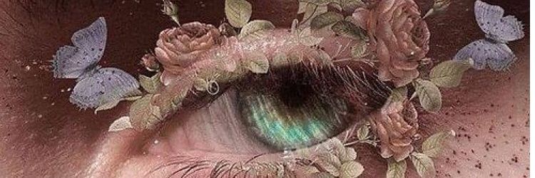 3443_mezo's profile banner image