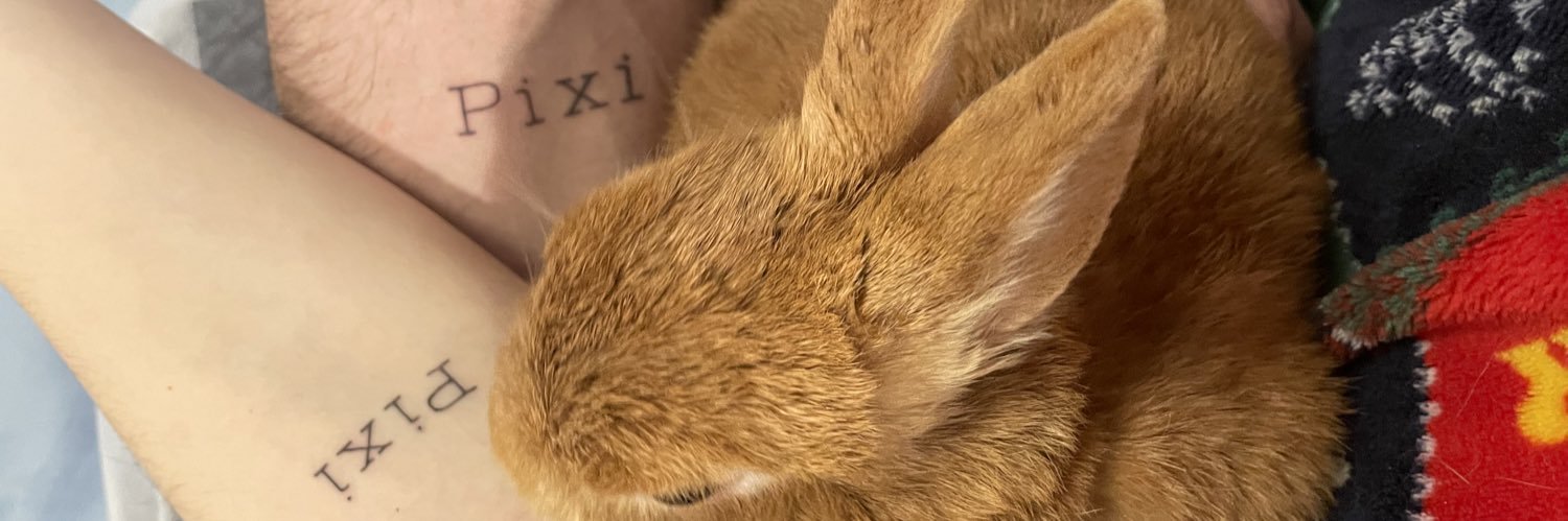 cintetavericat's profile banner image