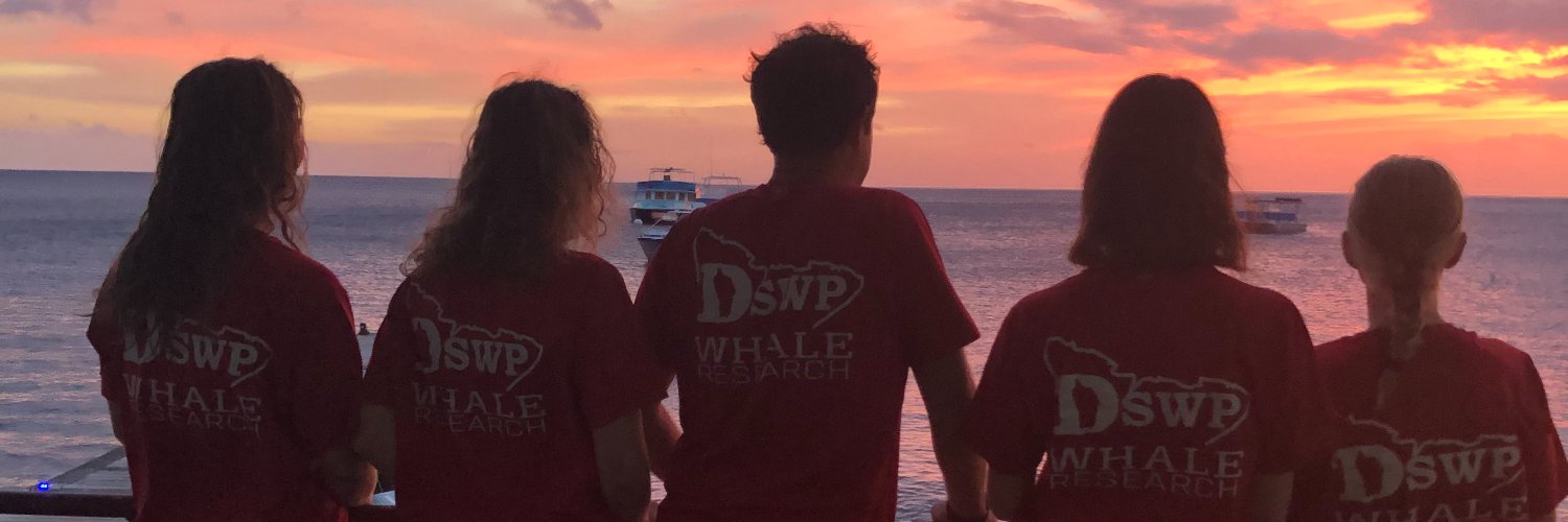 Pernille Tønnesen banner