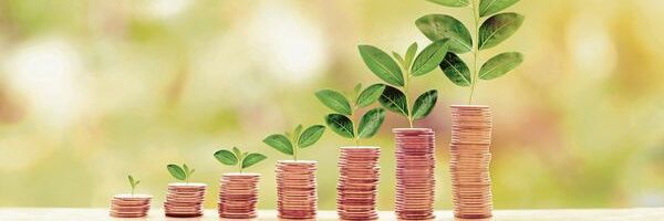 AdeelAfzal06 Profile Banner