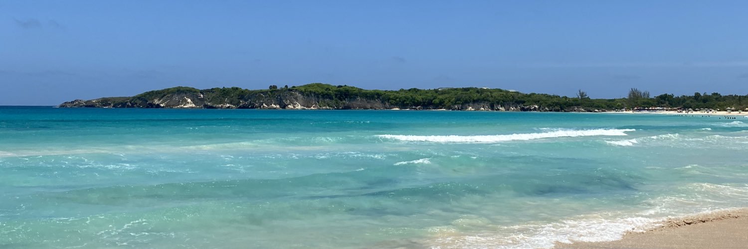 pedro_timi's profile banner image