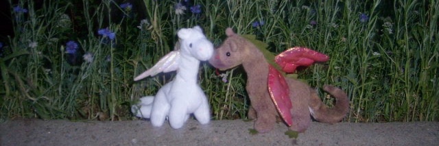 pitypartystore's profile banner image