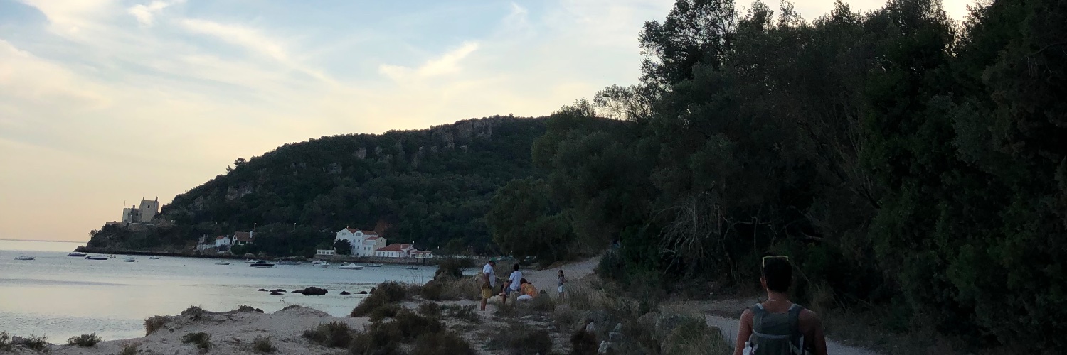 Ines_Ollero's profile banner image