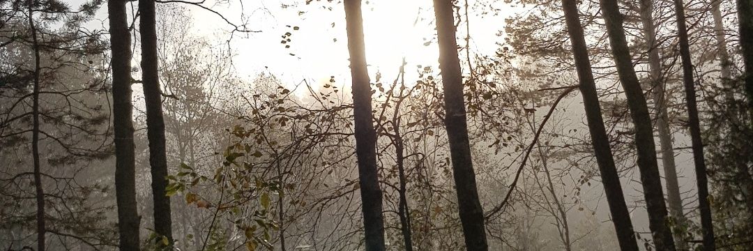 Blueraspberry27's profile banner image