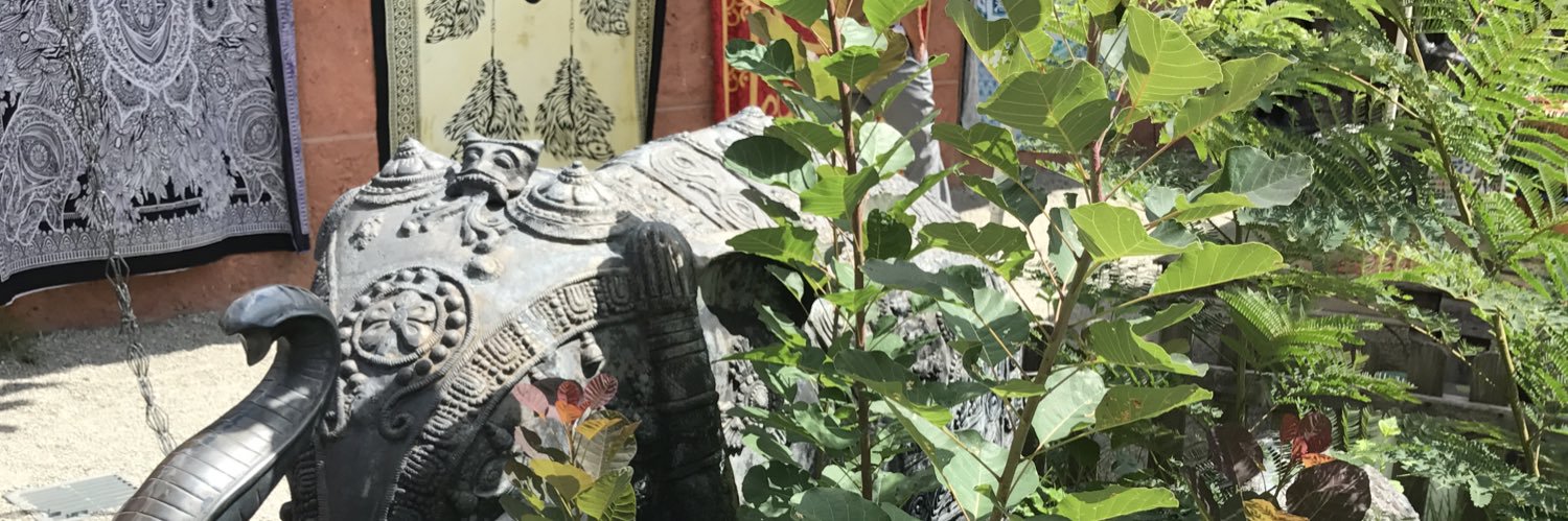 pineame420's profile banner image