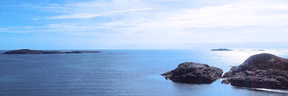 ThallDjentleman's profile banner image