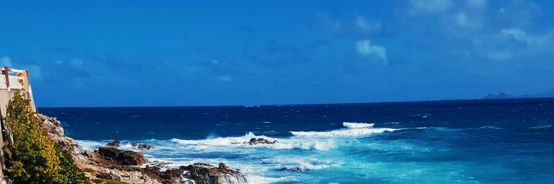 mark shellrude banner