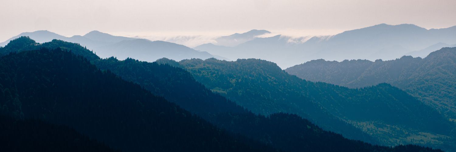Долбоежик banner